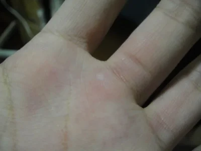 DSC01711.webp
