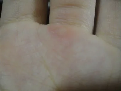 DSC01718.webp