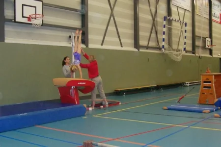 Talitha doing handstand on pegasus.webp