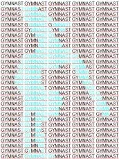 gymnast 1.webp