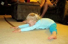 5740371754_313fe926ac_m.webp