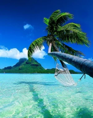 bora-bora.webp