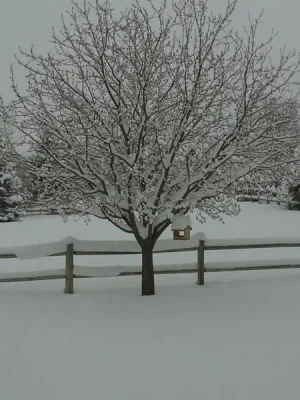 snow april.webp