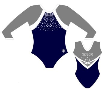 The Winning Leotard.jpg