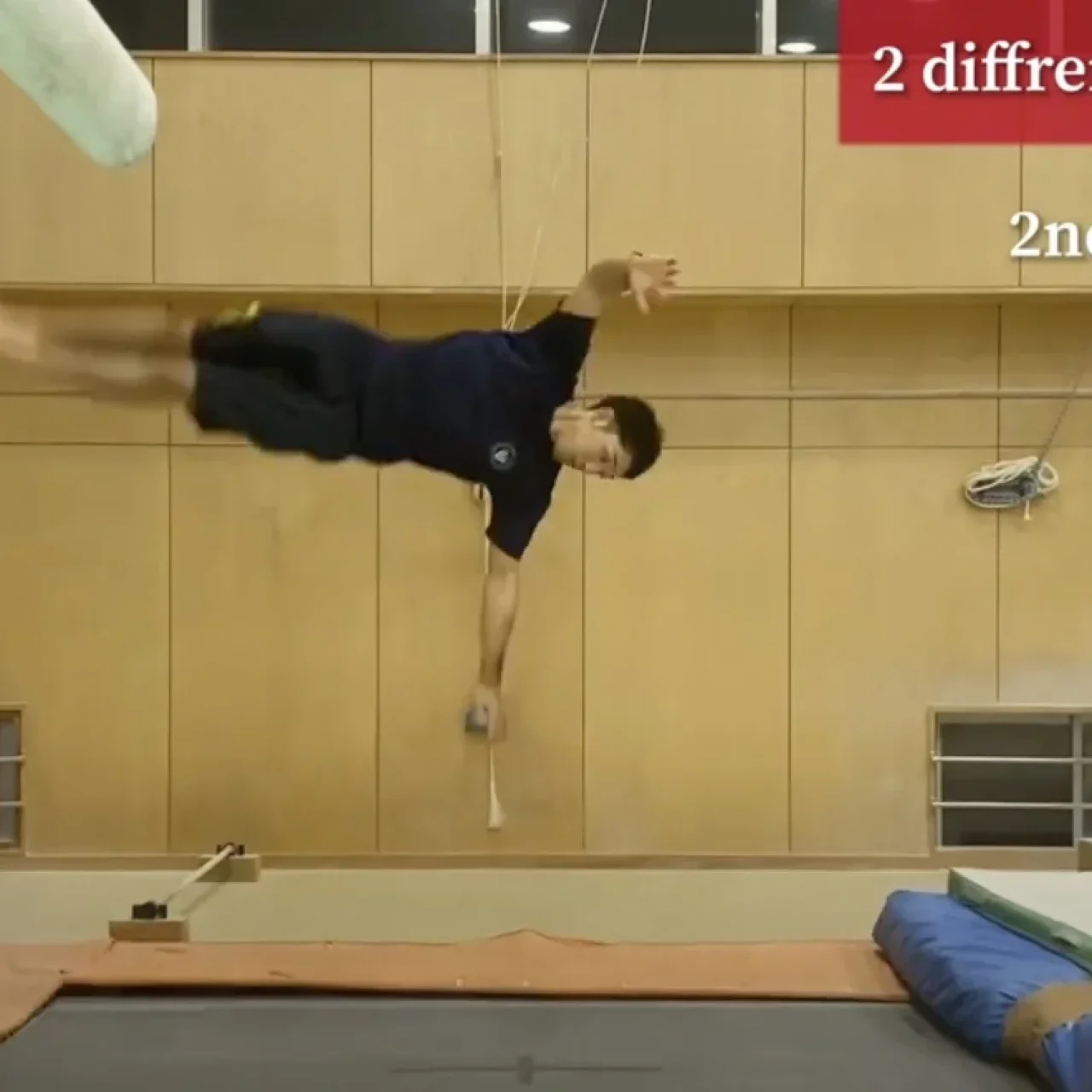 How easy is it to learn back twisting from an arabian?
