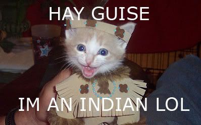 IndianCat.jpg