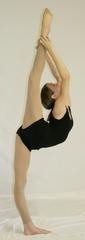 becca%20black%20leotard%20scorpion_medium.jpeg