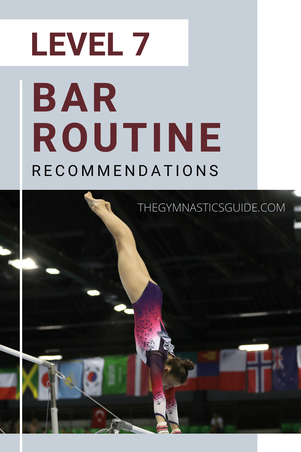 thegymnasticsguide.com